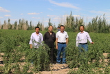 公司回访甘肃瓜州种植户杨海茂